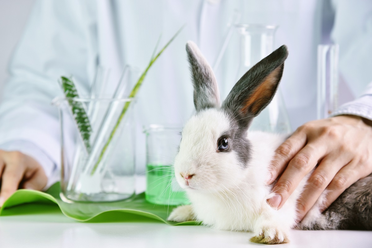 What's the Difference Between No Animal Testing, Vegan & Cruelty Free  Products? - PuraVeda Organics Blog